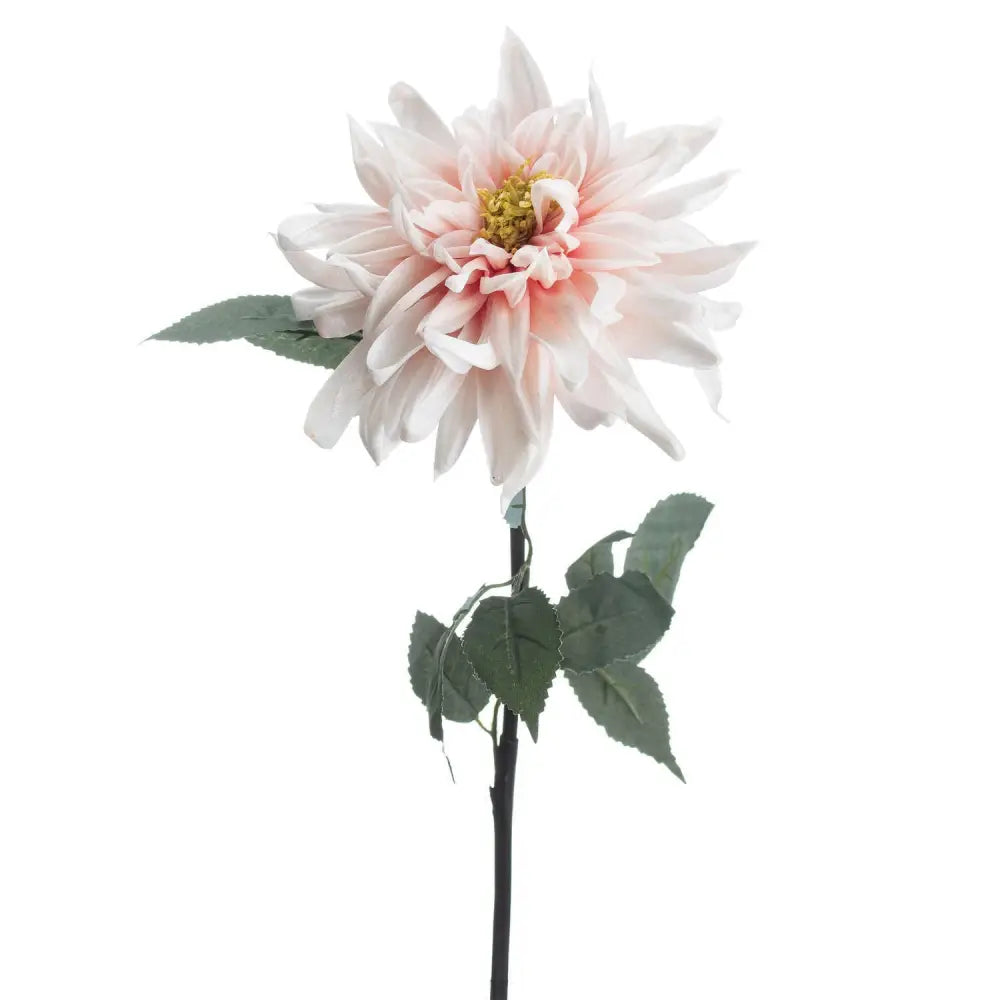 Lush pink dahlia - Single Stem Flowers