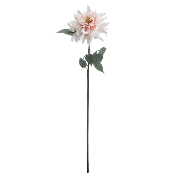 Lush pink dahlia - Single Stem Flowers