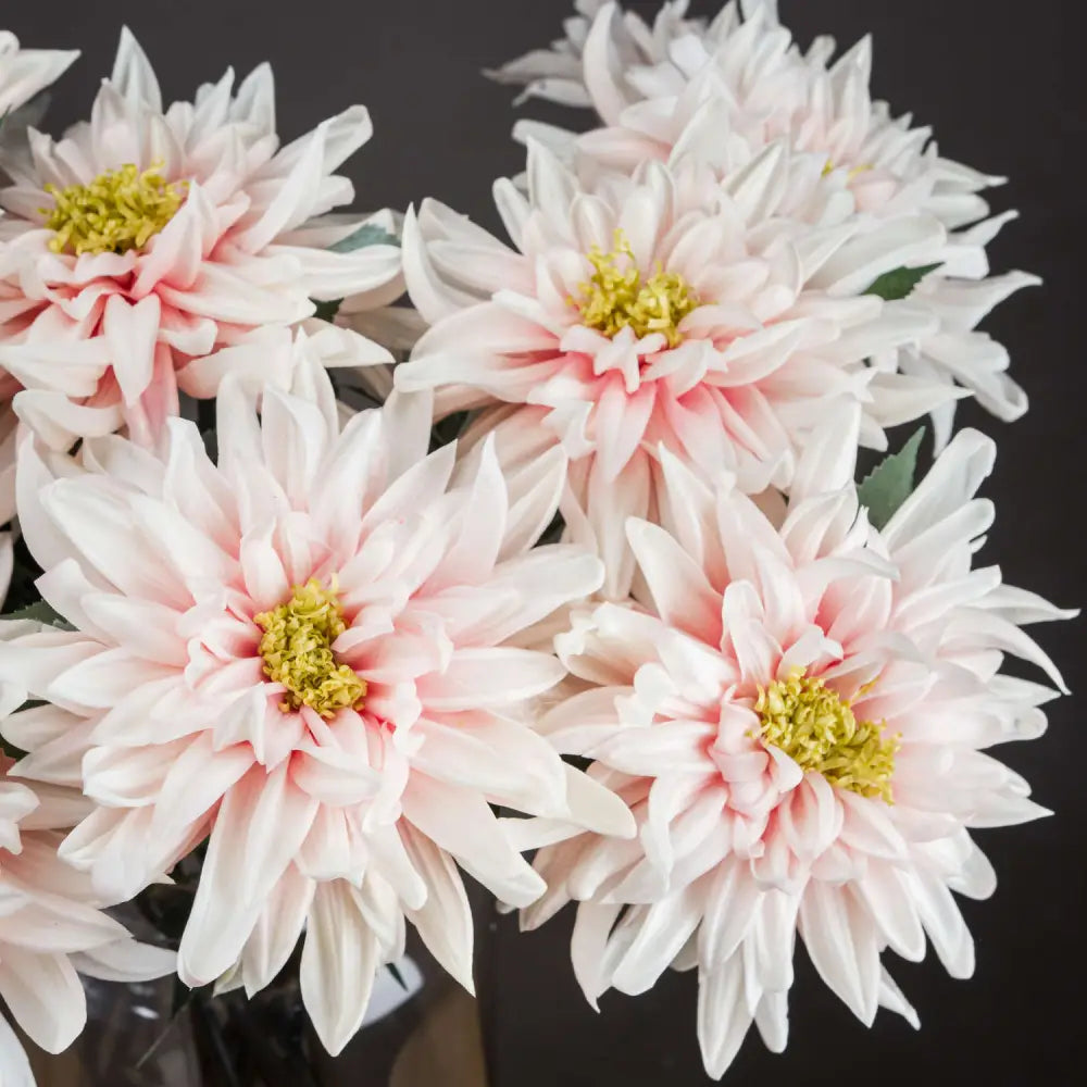 Lush pink dahlia - Single Stem Flowers