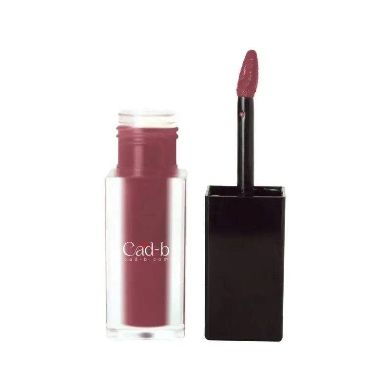 Matte lip stain twilight | vegan matte velvety finish