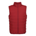 Men's Plus Size Warm Inner Short Stand Collar Vest Nexellus