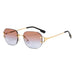 Modern Vintage Square Sunglasses Trendy Sunglasses Nexellus