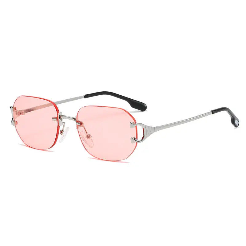 Modern Vintage Square Sunglasses Trendy Sunglasses Nexellus