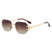 Modern Vintage Square Sunglasses Trendy Sunglasses Nexellus