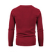 New men's casual solid color v-neck sweater cardigan sweater Nexellus