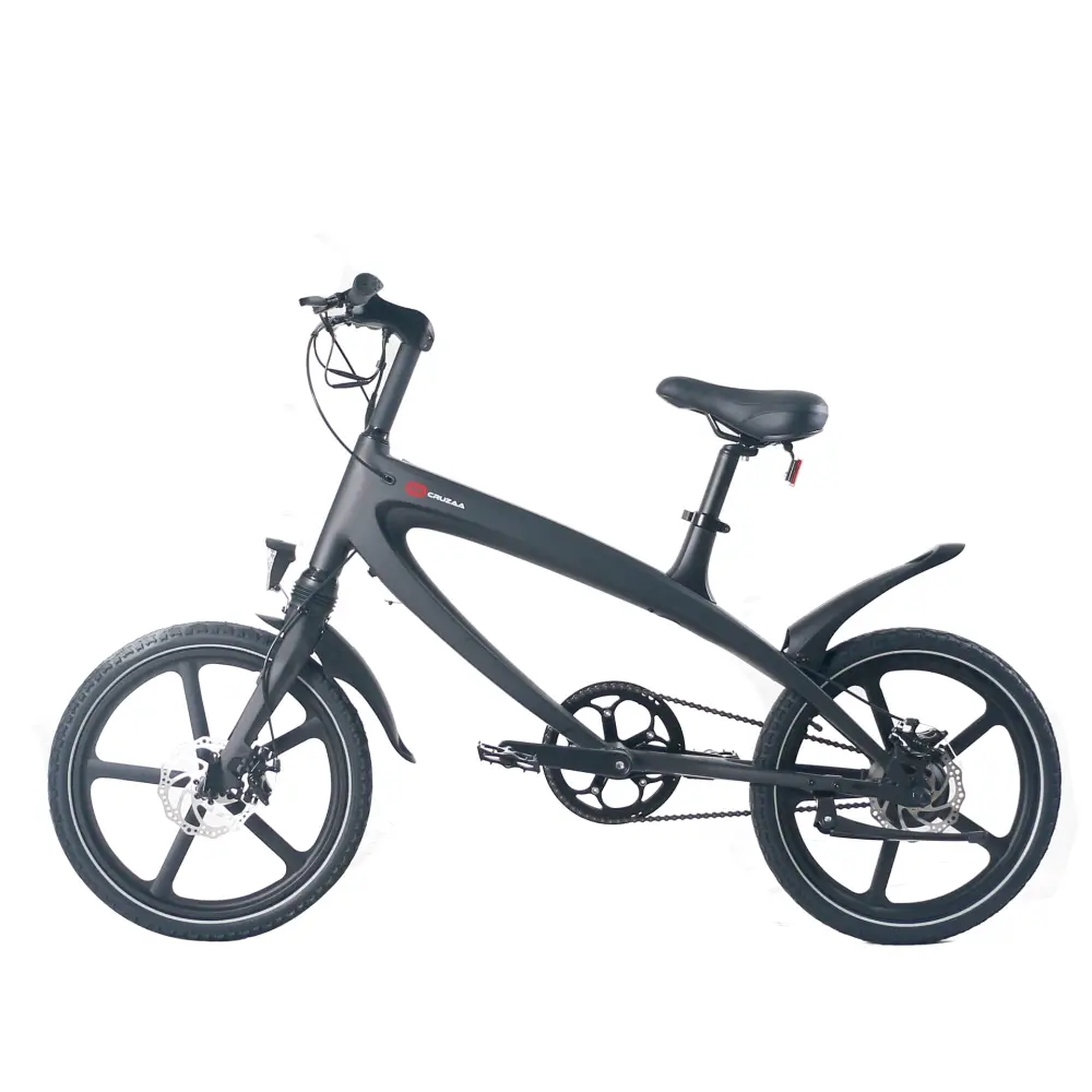 Official carbon black e-bike with built-in speakers &