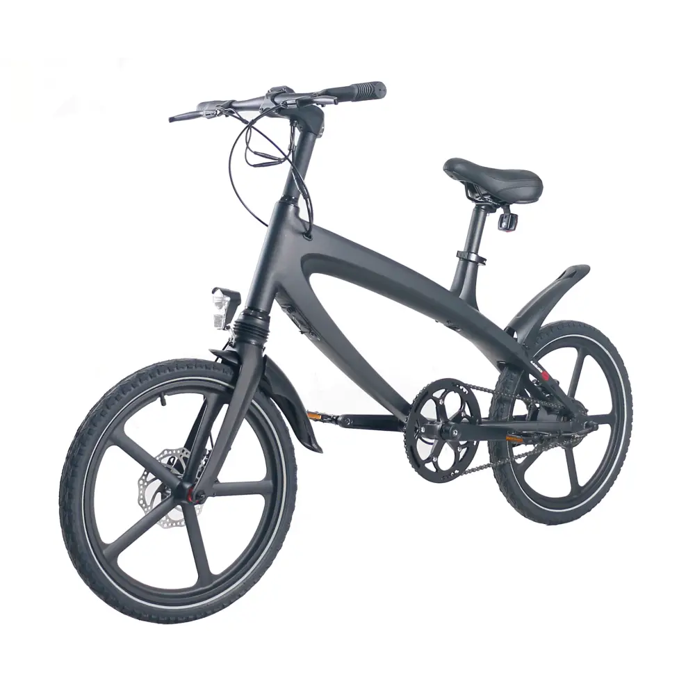 Official carbon black e-bike with built-in speakers &