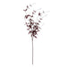 Ornamental burgundy leaf - Autumn Stems