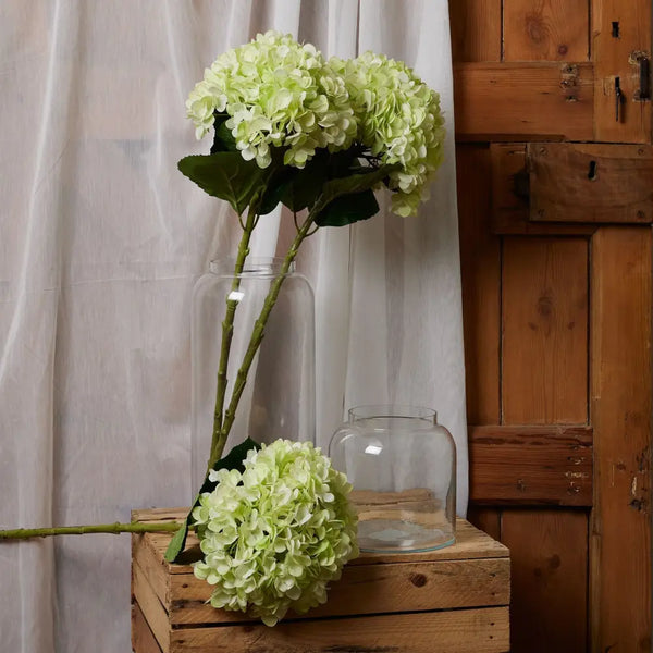 Oversized green hydrangea - Single Stem Flowers