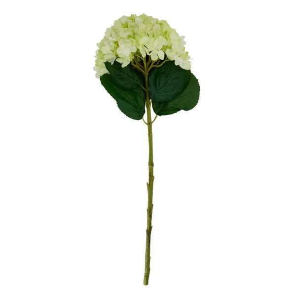 Oversized green hydrangea - Single Stem Flowers