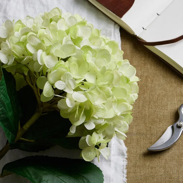 Oversized green hydrangea - Single Stem Flowers