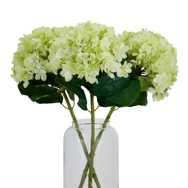 Oversized green hydrangea - Single Stem Flowers