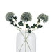 Pale green blue chrysanthemum - Autumn Stems