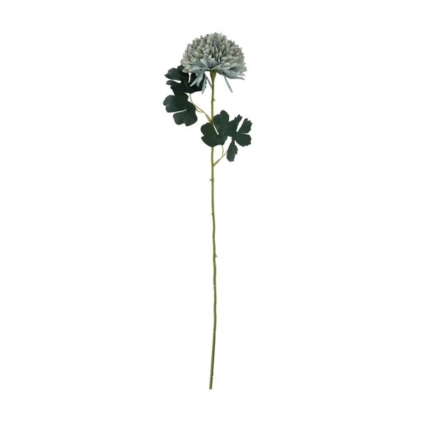 Pale green blue chrysanthemum - Autumn Stems