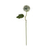 Pale green blue short chrysanthemum - Autumn Stems