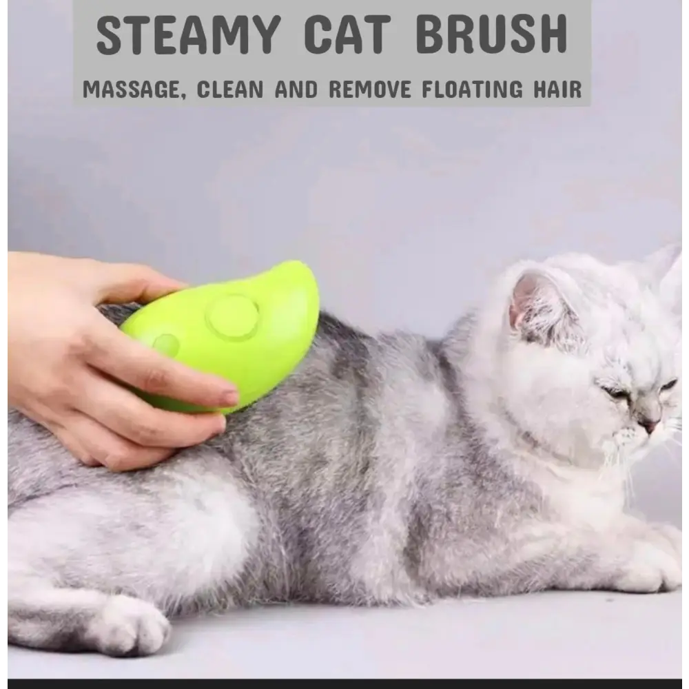 Pet electric spray massage comb steam brush Nexellus