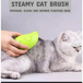 Pet electric spray massage comb steam brush Nexellus