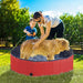 Pet paddling pool cat dog indoor/ outdoor foldable 120cm diameter red Nexellus