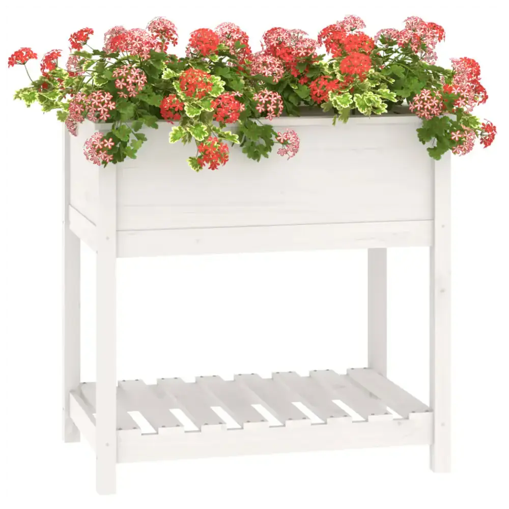 Planter with shelf white 82.5x54x81 cm solid wood pine Nexellus