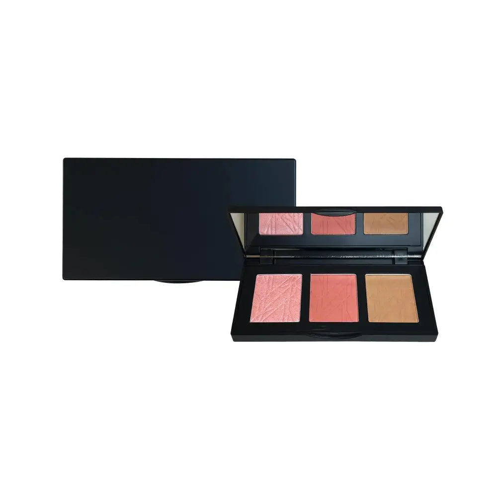 Pro cheek palette - blushy - Face