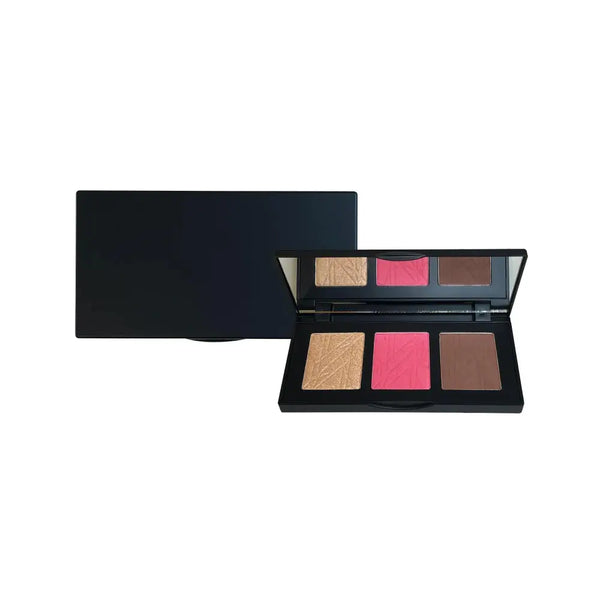 Pro cheek palette - pop - Face