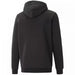 Puma ESS+ 2 Col Small Logo Hoodie FL M 674471 61 - Nexellus