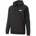 Puma ESS+ 2 Col Small Logo Hoodie FL M 674471 61 - Nexellus