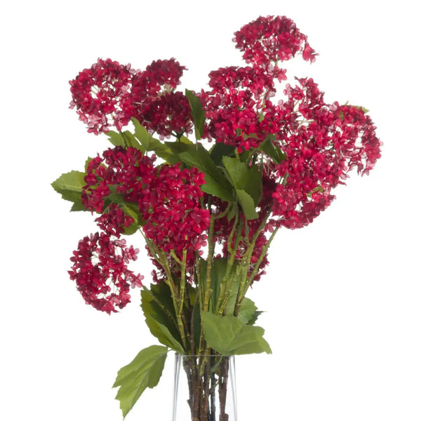 Red autumnal viburnum - Autumn Stems