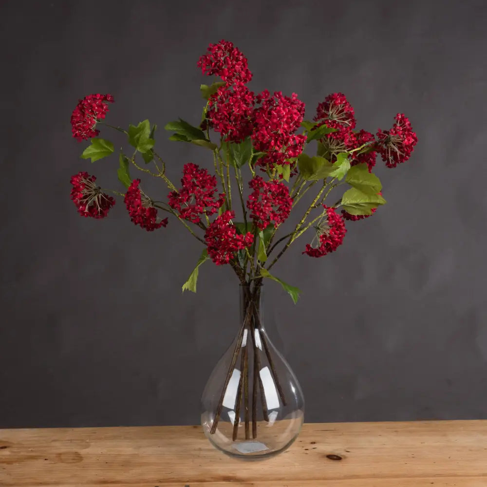 Red autumnal viburnum - Autumn Stems