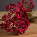 Red autumnal viburnum - Autumn Stems