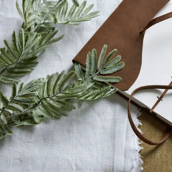 Silver wattle leaf - Festive Flowers & Foliage