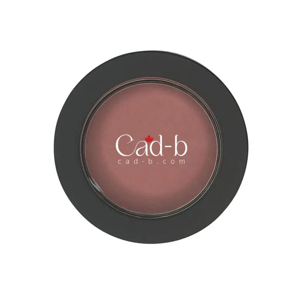 Single pan blush - macaron - spb107 | hypoallergenic talc