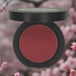 Single pan blush - raspberry - spb1 | hypoallergenic talc