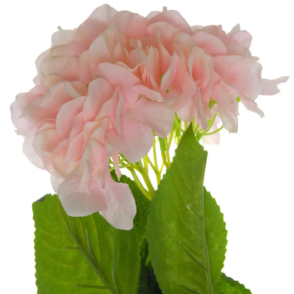 Single pink hydrangea - Single Stem Flowers