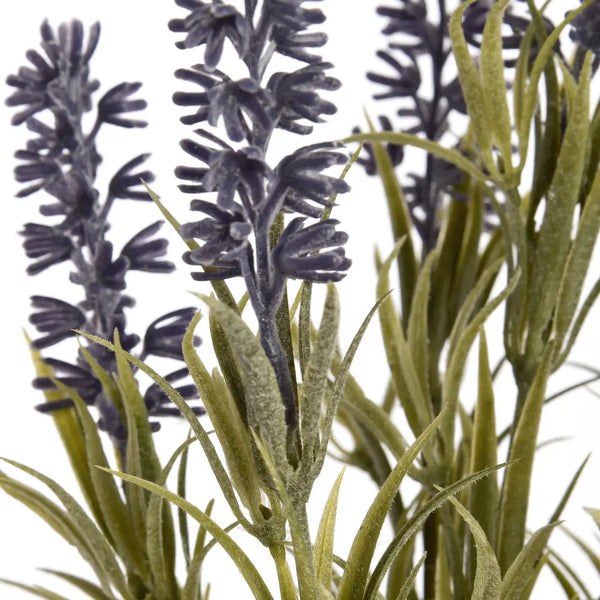 Small lavender spray - Single Stem Flowers