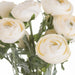 Soft cream ranunculus - Spring Stems