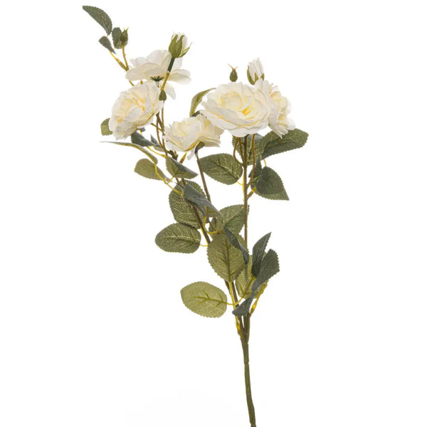 Soft white cottage rose stem - Single Stem Flowers