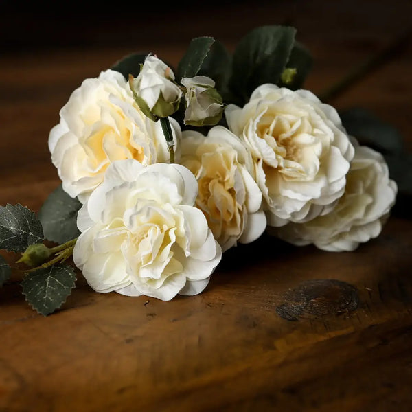 Soft white cottage rose stem - Single Stem Flowers