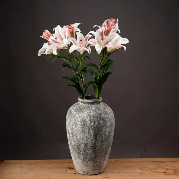 Stargazer lily - Single Stem Flowers