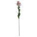 Stargazer lily - Single Stem Flowers