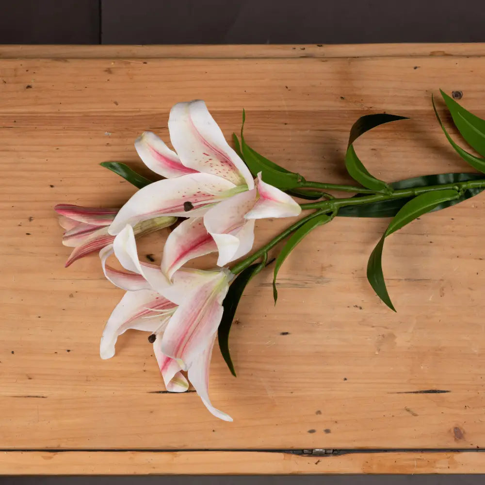 Stargazer lily - Single Stem Flowers