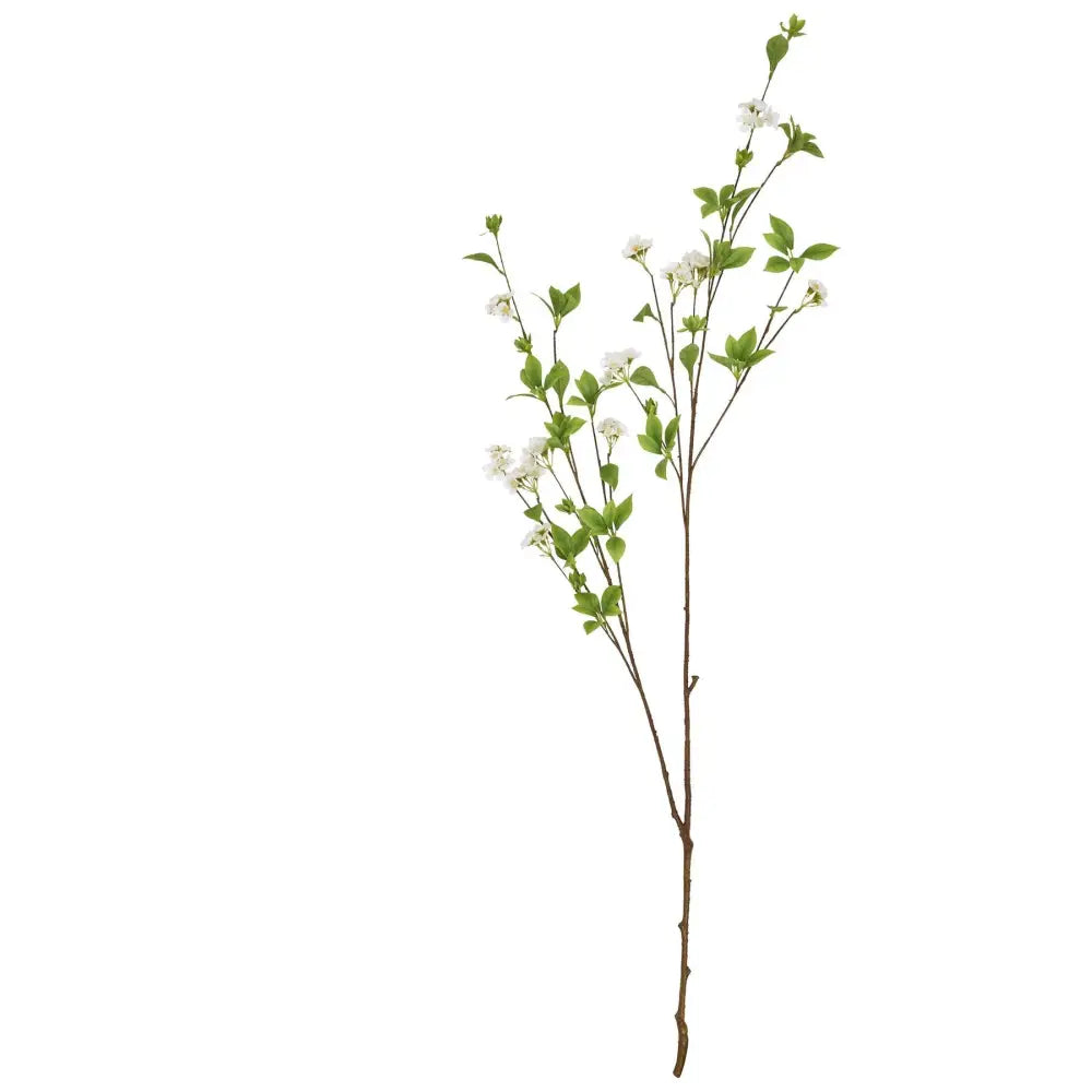 Tall mock orange spray - Single Stem Flowers