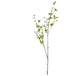 Tall mock orange spray - Single Stem Flowers