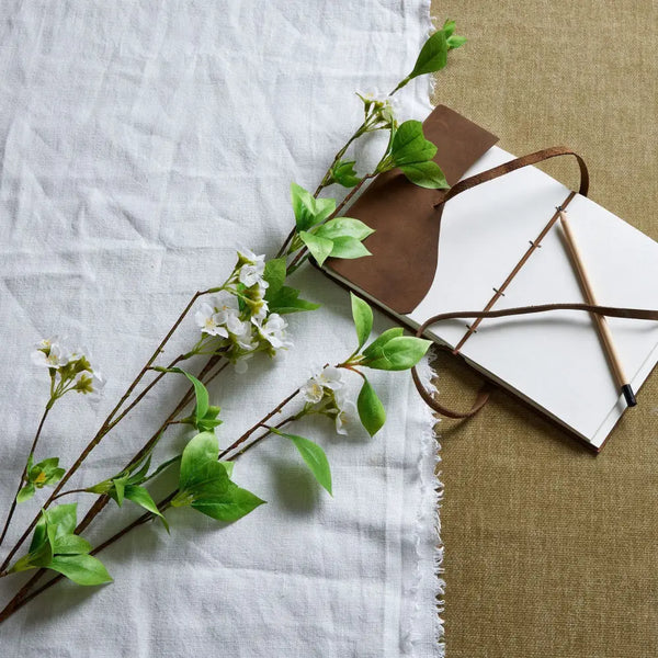 Tall mock orange spray - Single Stem Flowers