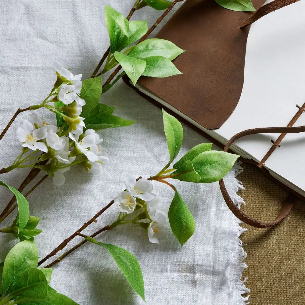 Tall mock orange spray - Single Stem Flowers