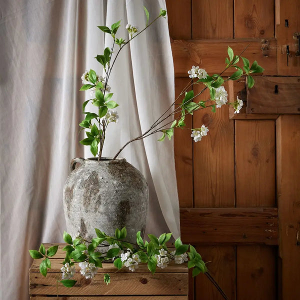 Tall mock orange spray - Single Stem Flowers