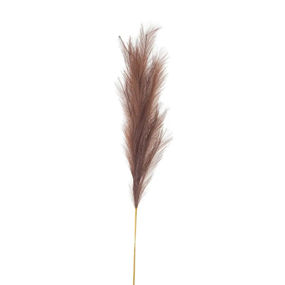 Taupe large faux pampas grass stem - Single Stem Flowers