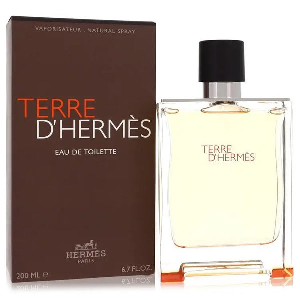 Terre d’hermes eau de toilette spray by hermes eau de