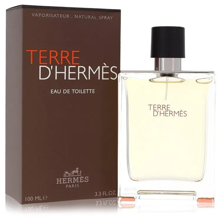 Terre d’hermes eau de toilette spray by hermes eau de