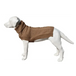 The jazz dog jumper in camel Nexellus